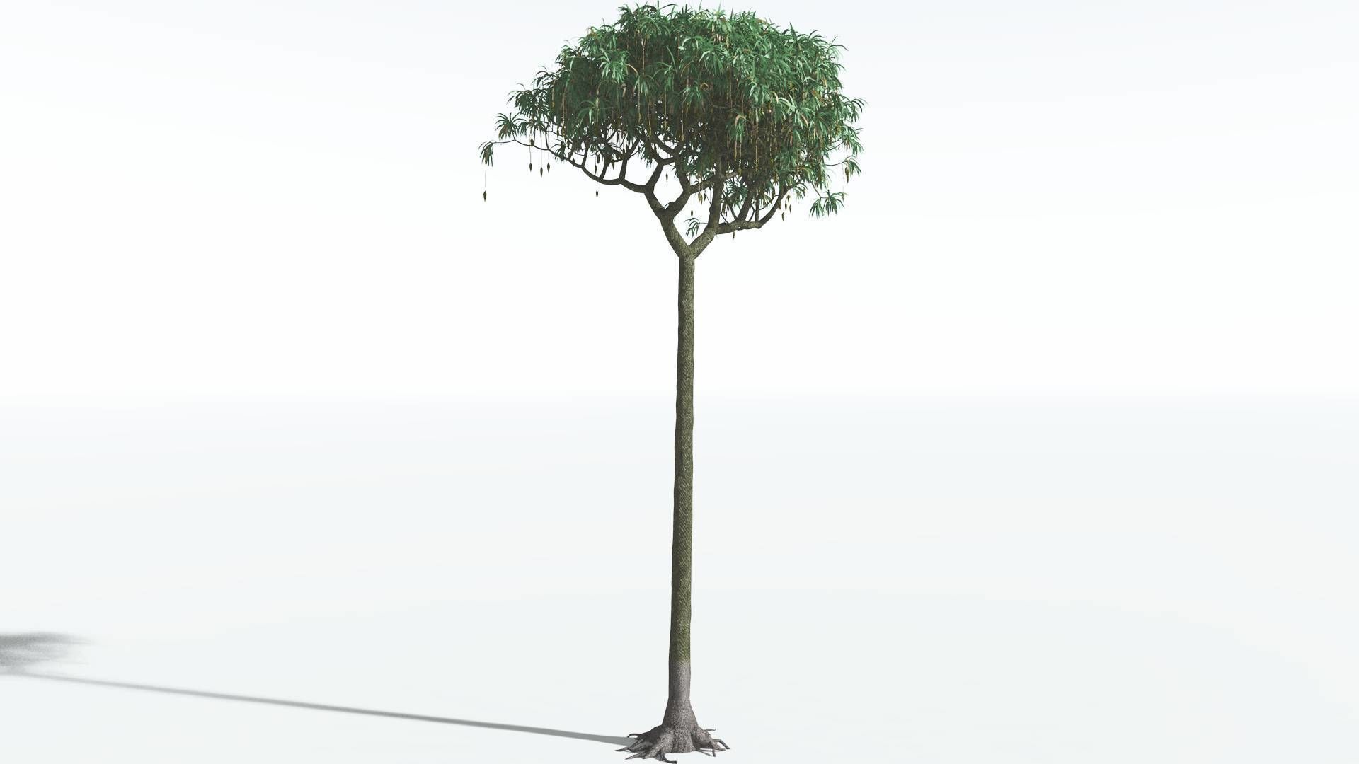 EVERYPlant Lepidodendron Scale Tree 3 --12 Models-- 3D model_14