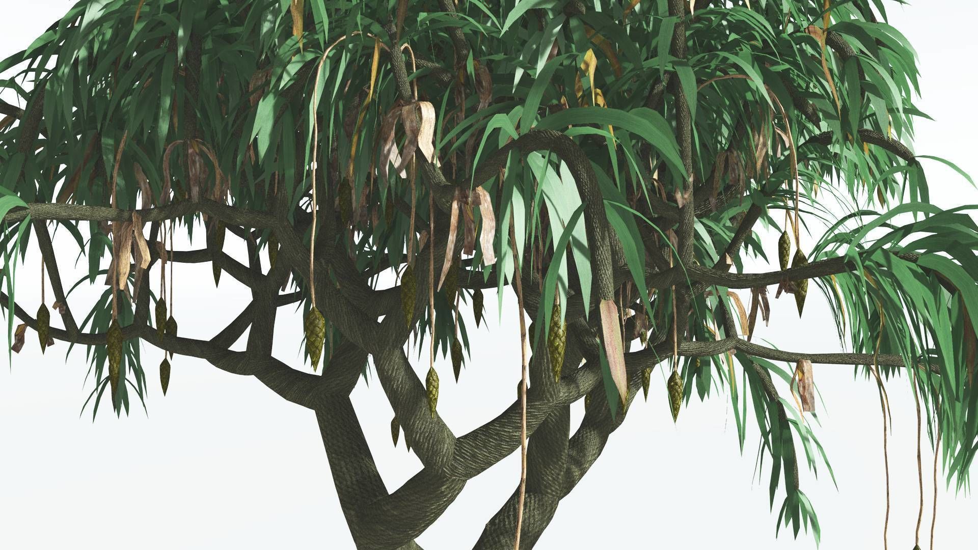 EVERYPlant Lepidodendron Scale Tree 3 --12 Models-- 3D model_25