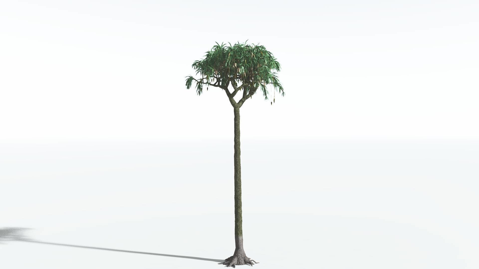 EVERYPlant Lepidodendron Scale Tree 3 --12 Models-- 3D model_24