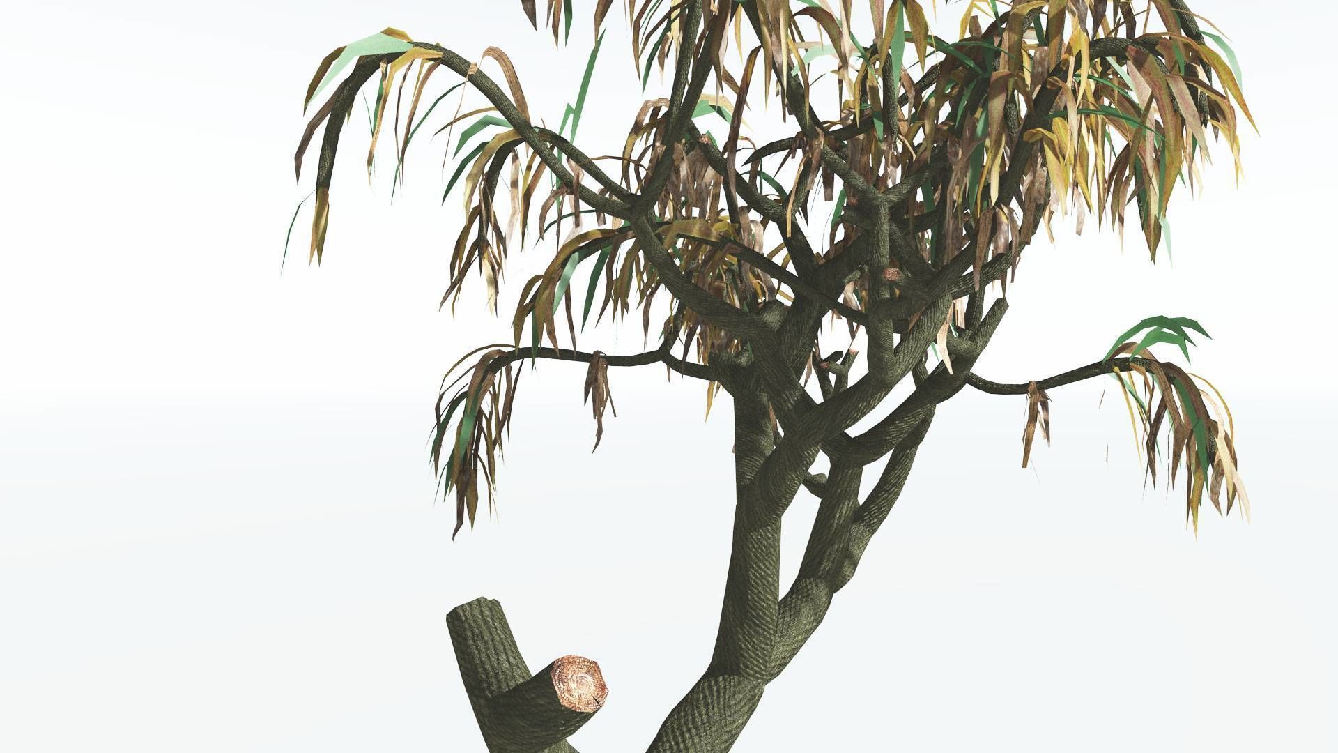 EVERYPlant Lepidodendron Scale Tree 3 --12 Models-- 3D model_9