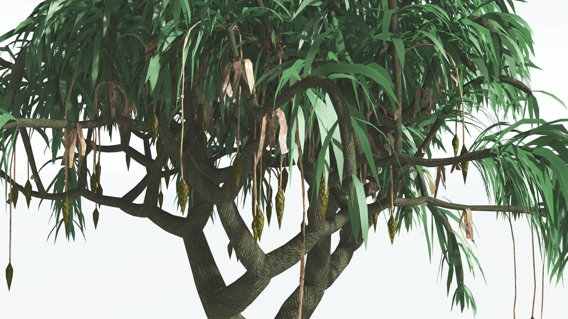 EVERYPlant Lepidodendron Scale Tree 3 --12 Models-- 3D model_5