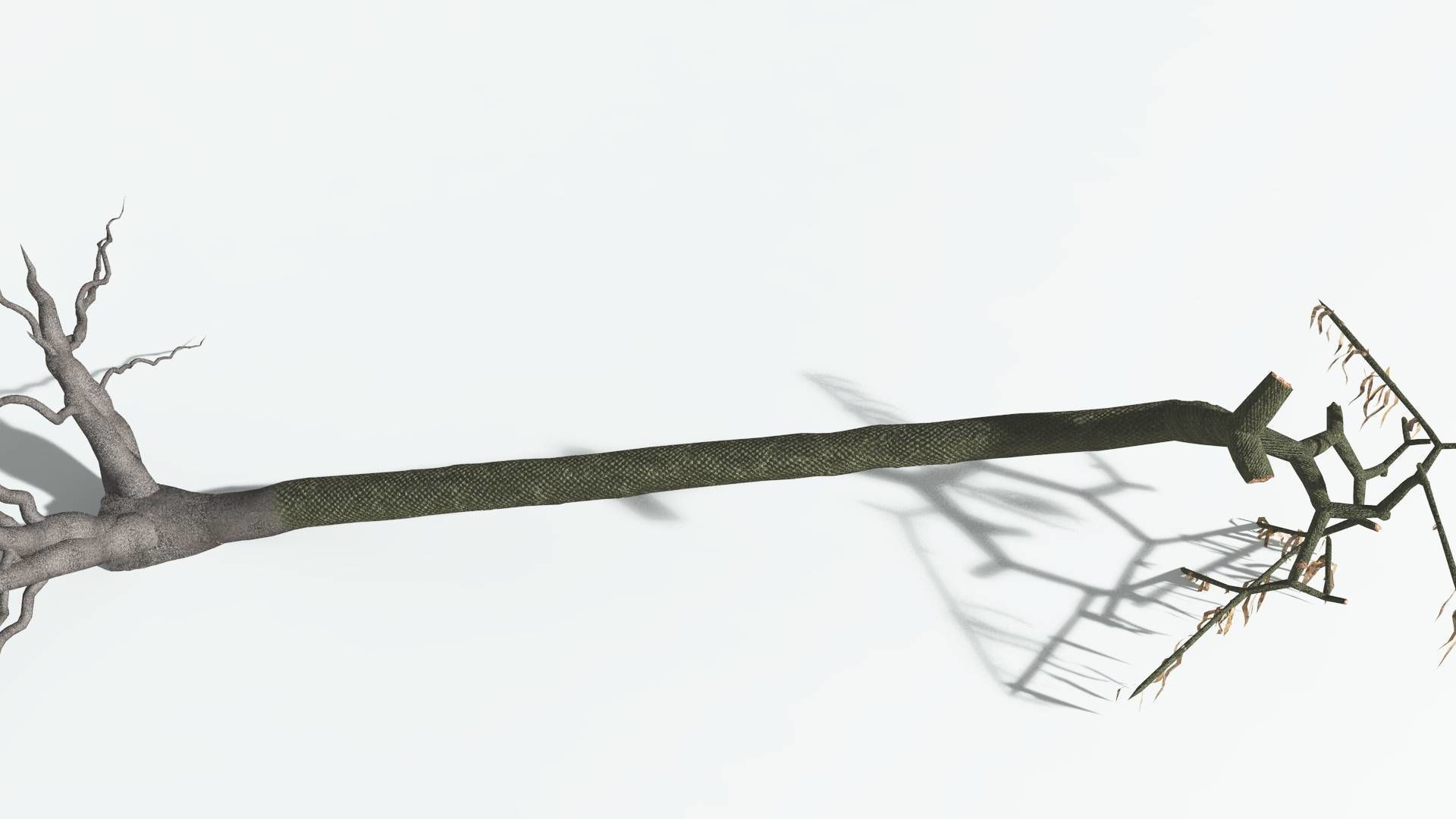 EVERYPlant Lepidodendron Scale Tree 3 --12 Models-- 3D model_13