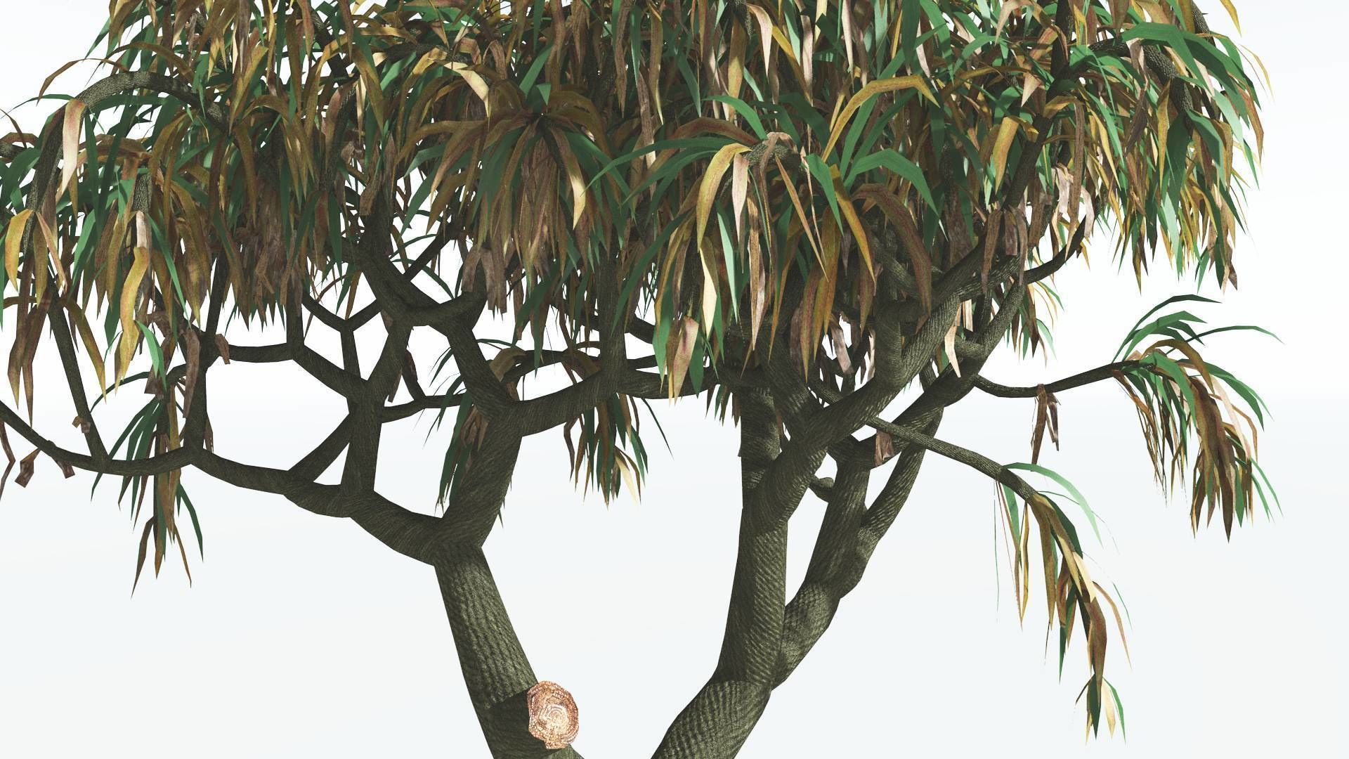 EVERYPlant Lepidodendron Scale Tree 3 --12 Models-- 3D model_7