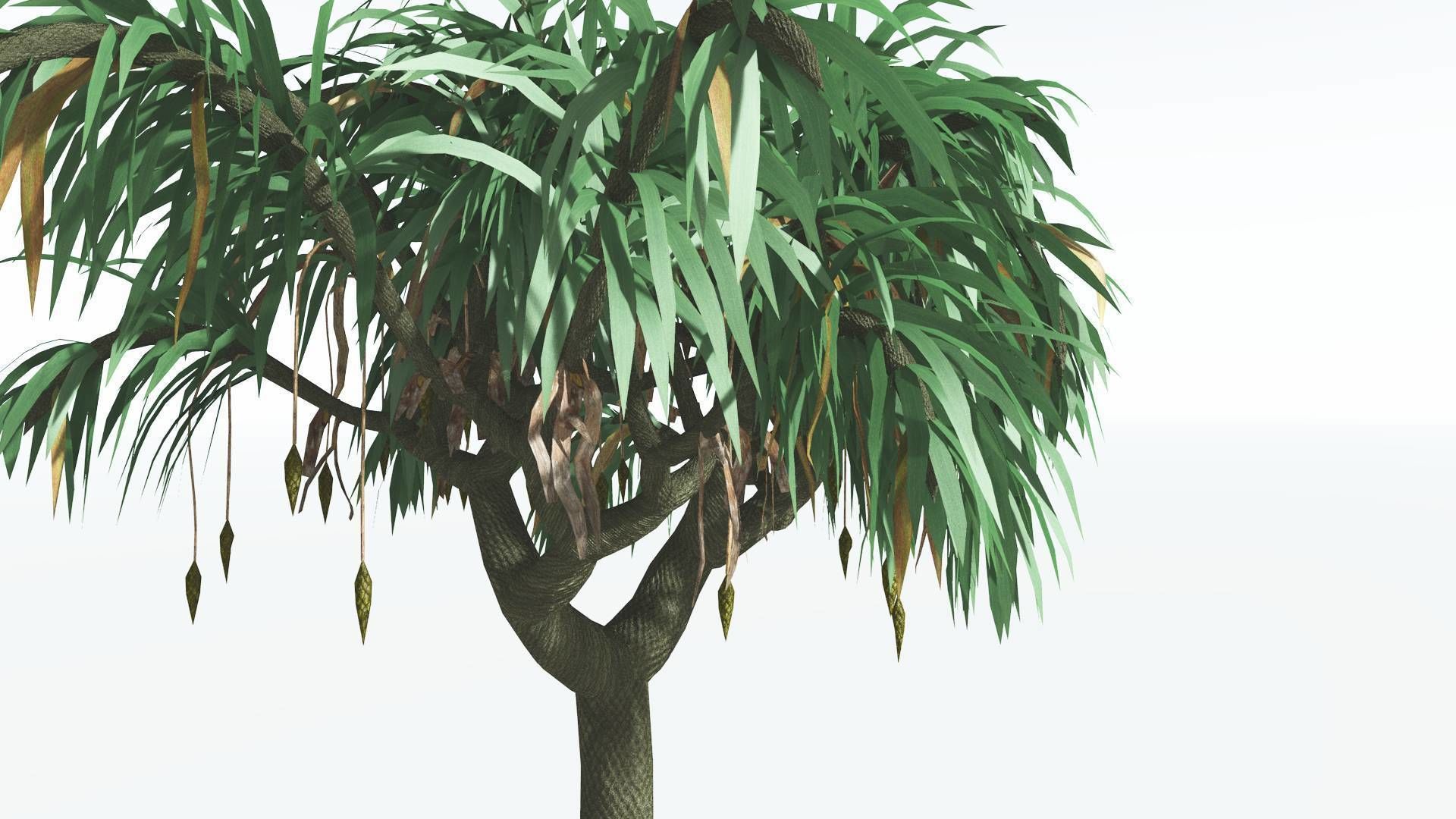 EVERYPlant Lepidodendron Scale Tree 3 --12 Models-- 3D model_17