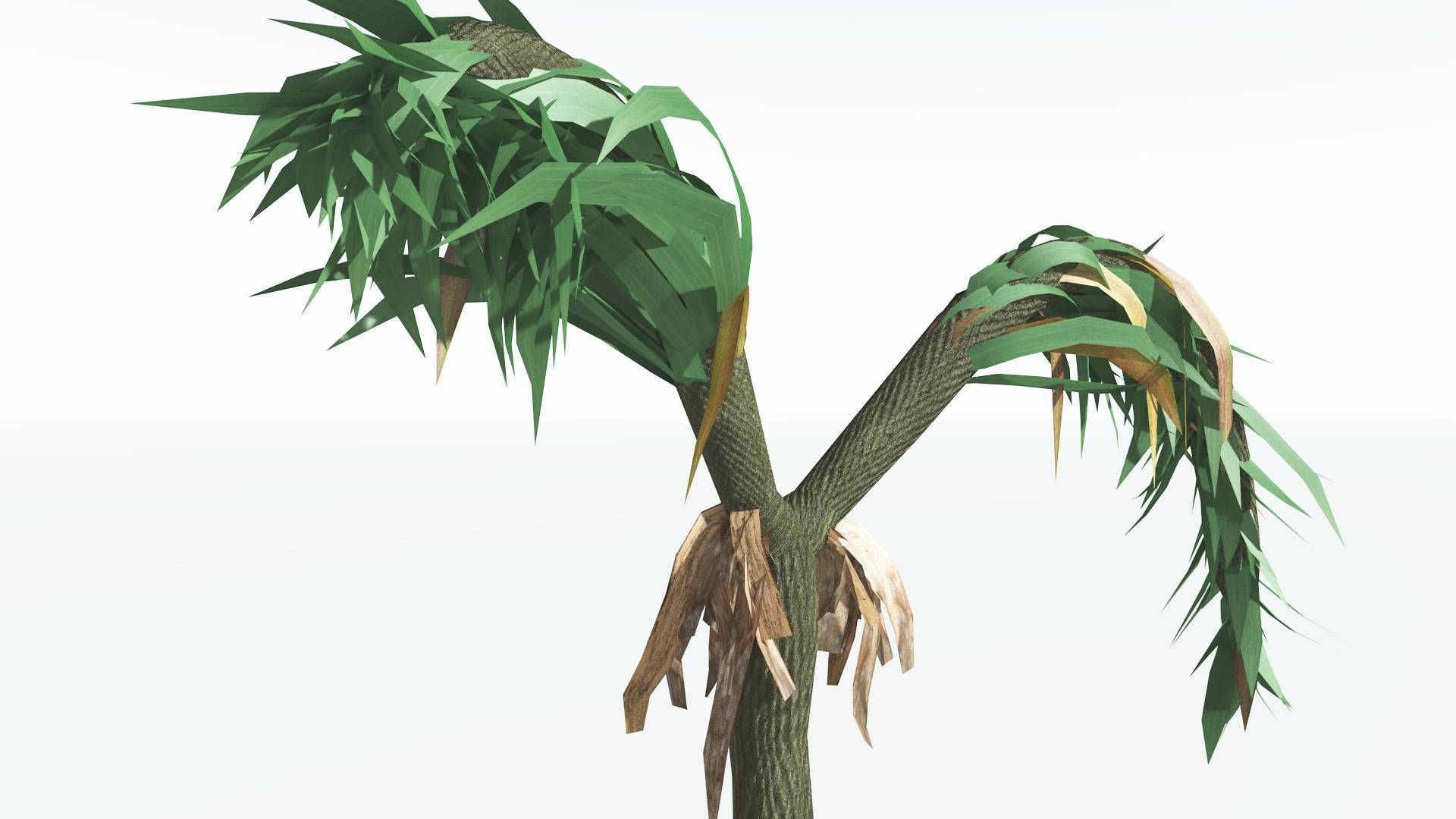 EVERYPlant Lepidodendron Scale Tree 3 --12 Models-- 3D model_19