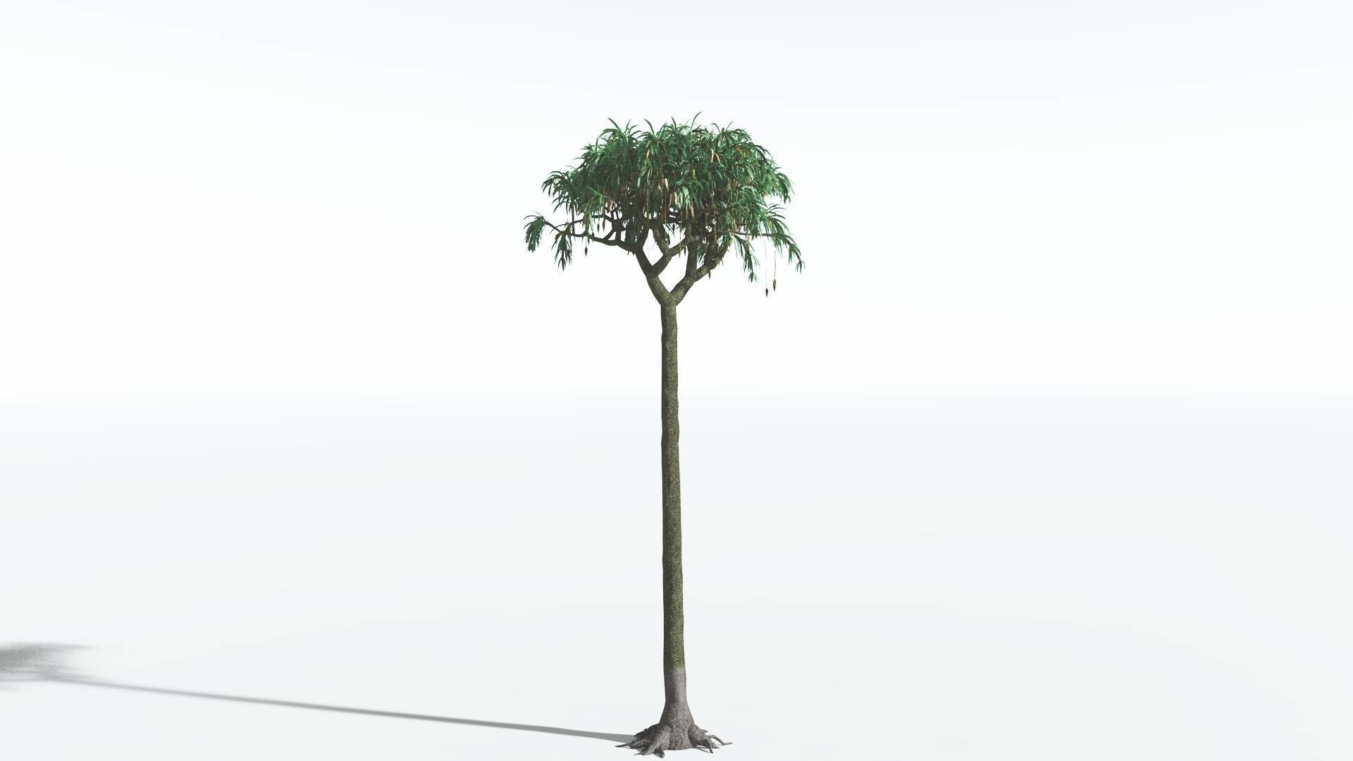 EVERYPlant Lepidodendron Scale Tree 3 --12 Models-- 3D model_2