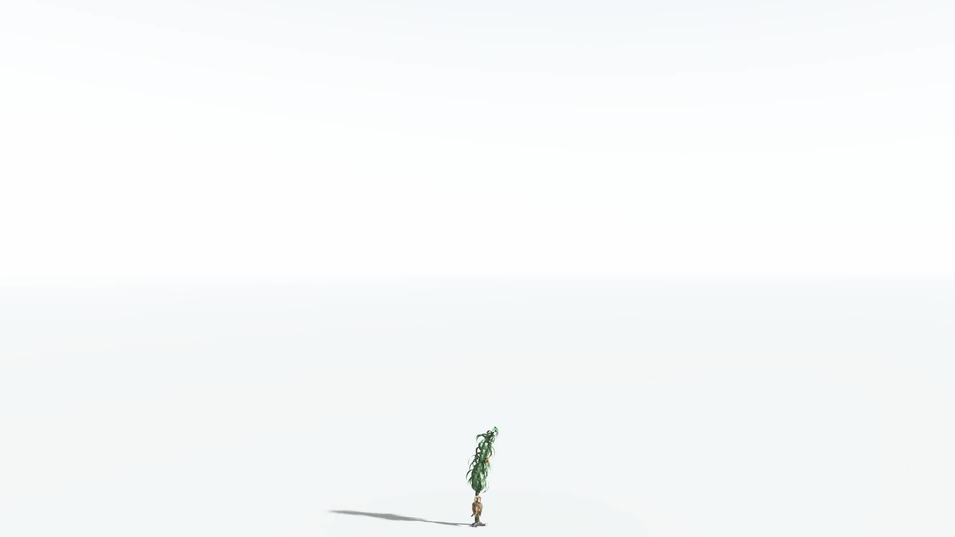 EVERYPlant Lepidodendron Scale Tree 3 --12 Models-- 3D model_20