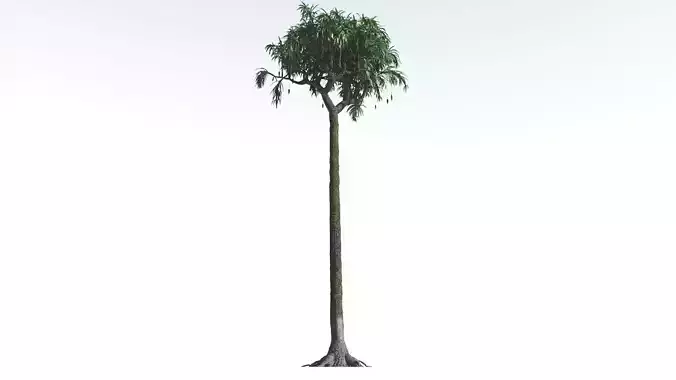 EVERYPlant Lepidodendron Scale Tree 3 --12 Models-- 3D model
