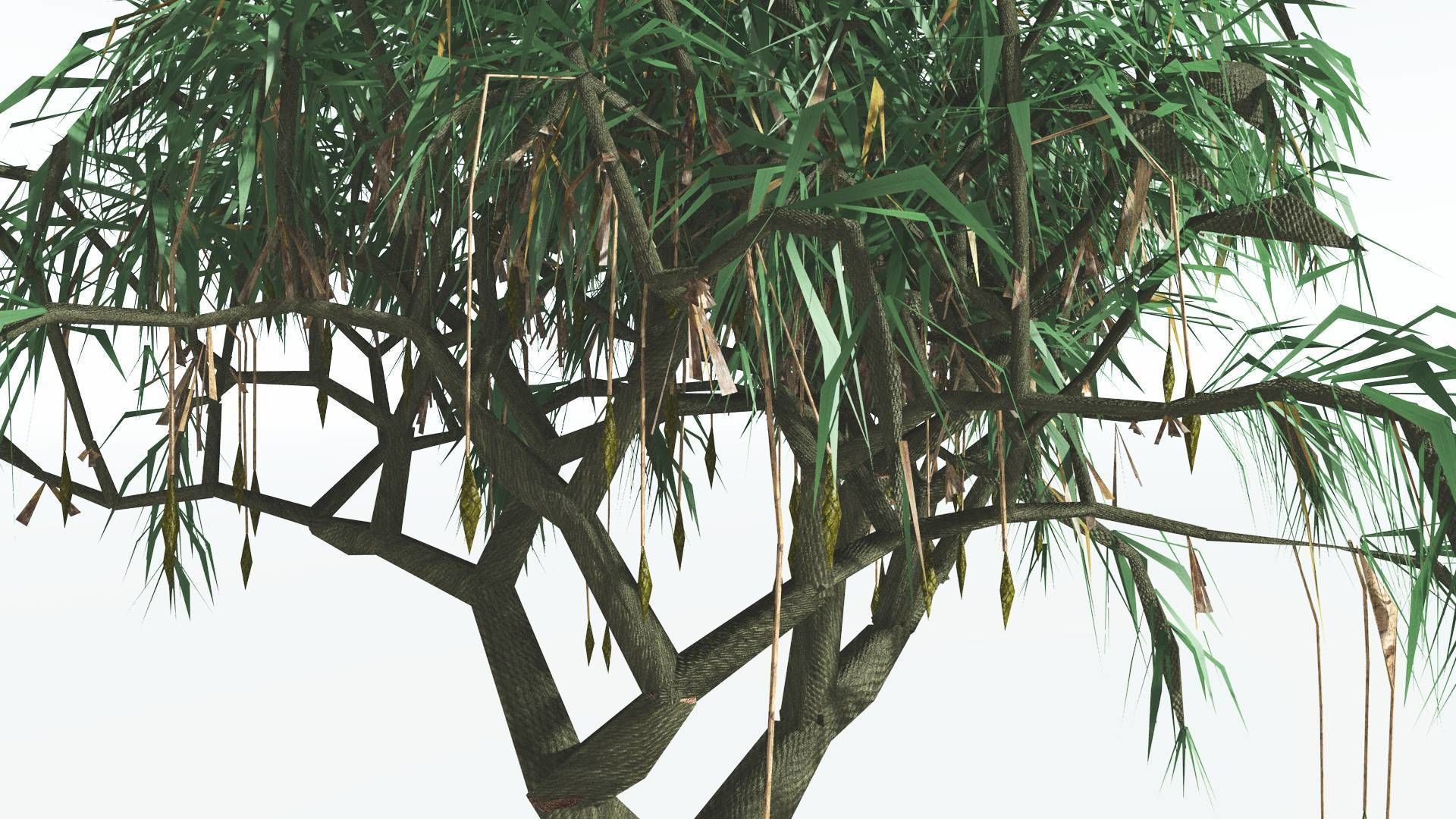 EVERYPlant Lepidodendron Scale Tree 3 --12 Models-- 3D model_23