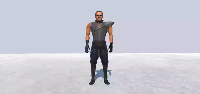 Fighter Avatar  Free low-poly 3D model