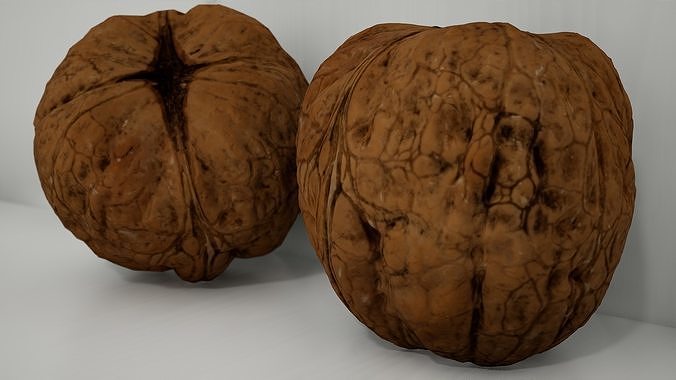 Walnut Free low-poly 3D model