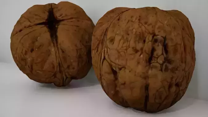 Walnut