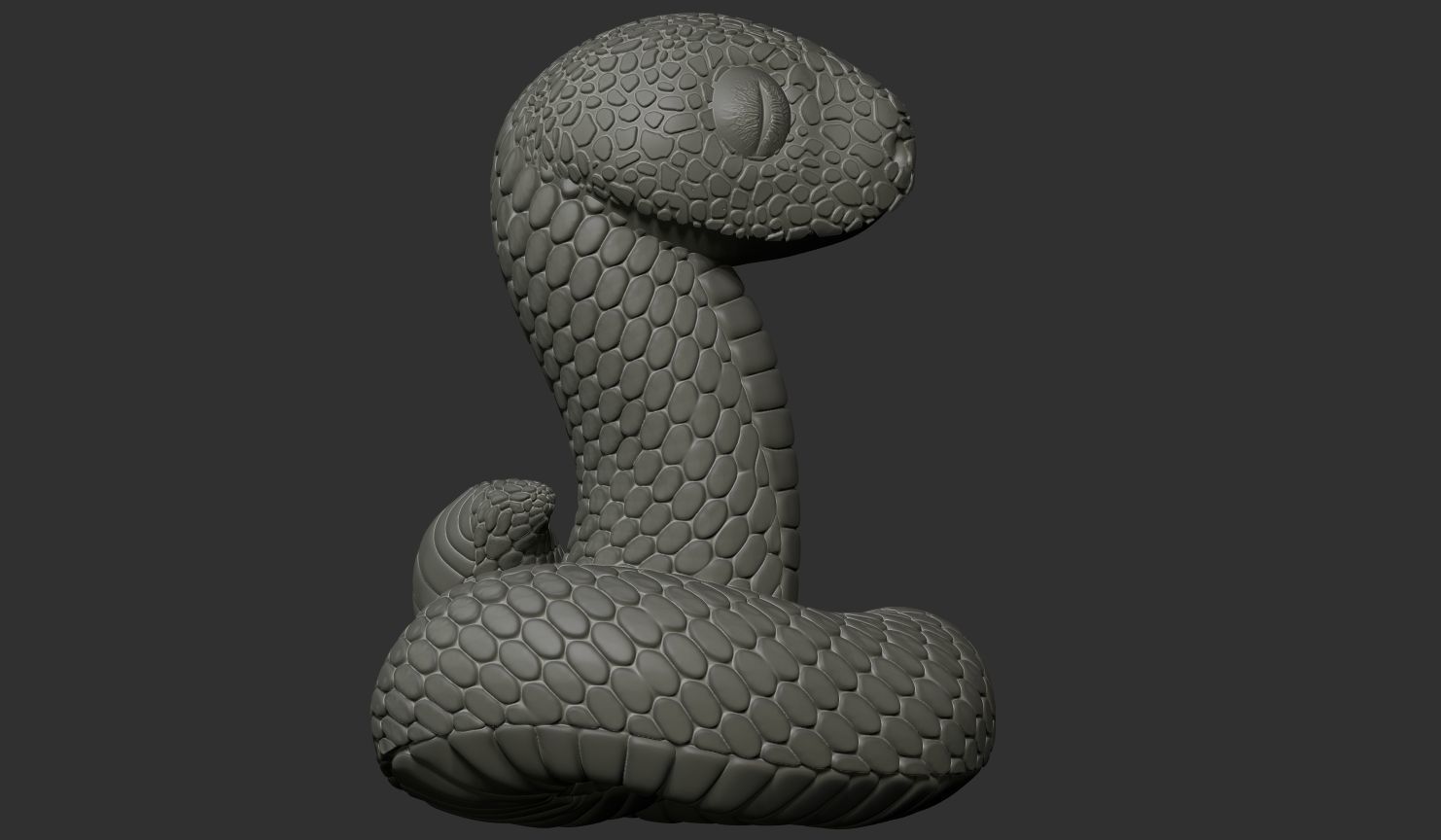 3d model of a snake 3D print model_2