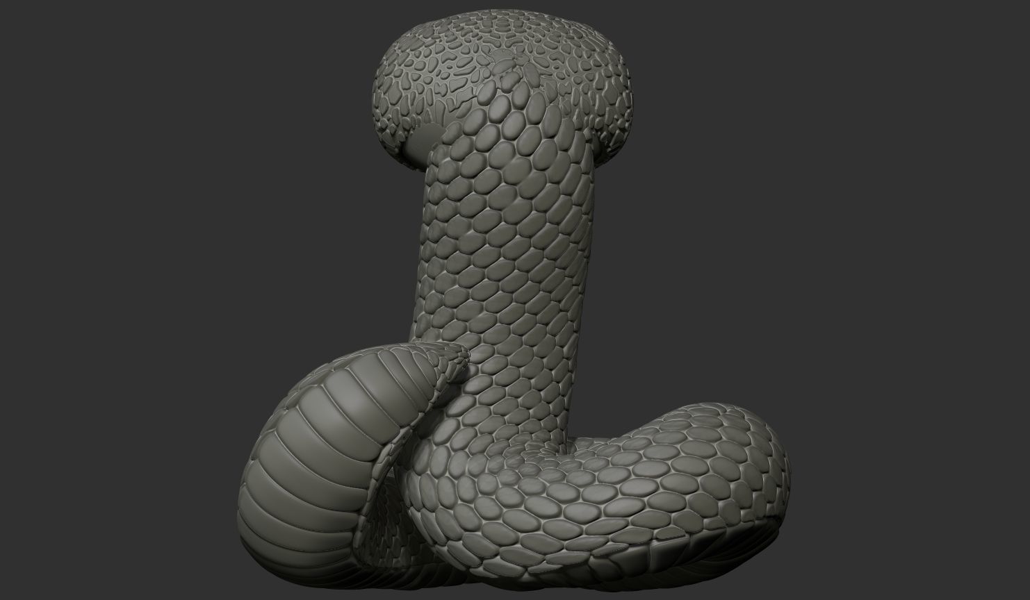 3d model of a snake 3D print model_4