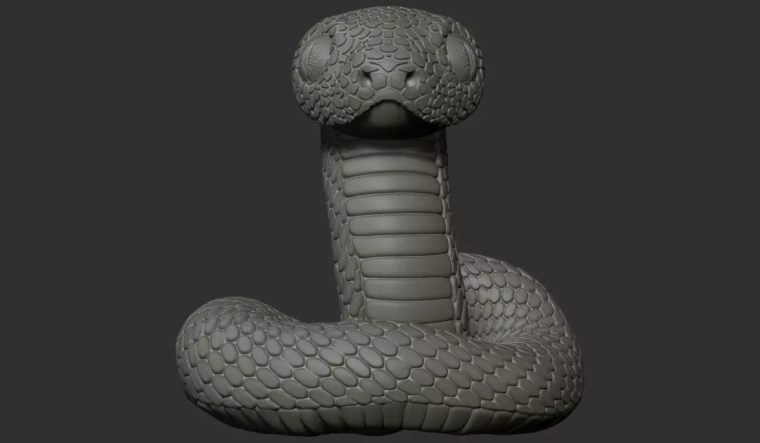 3d model of a snake 3D print model_0