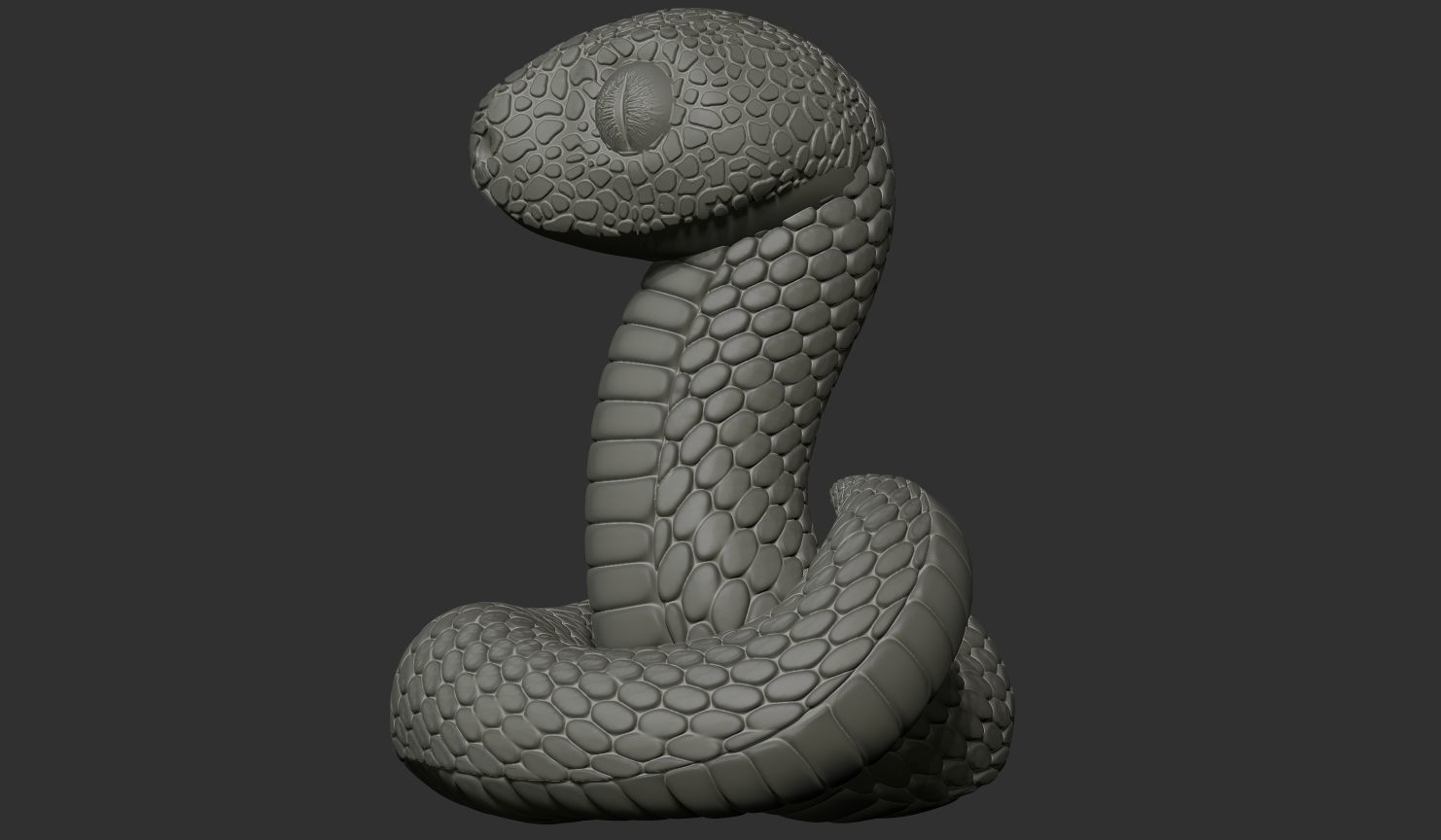 3d model of a snake 3D print model_3