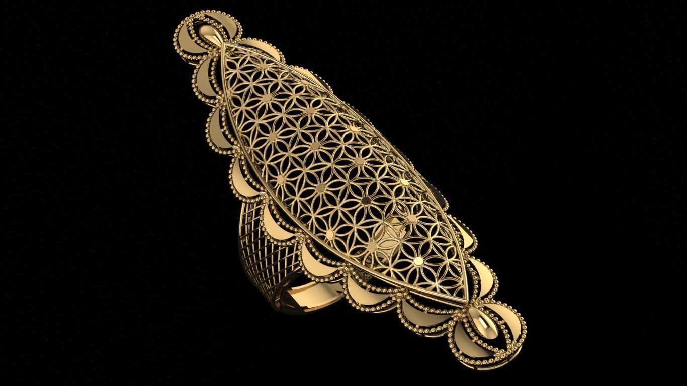 50 Wire Mesh 3dm model pack 3D print model_27