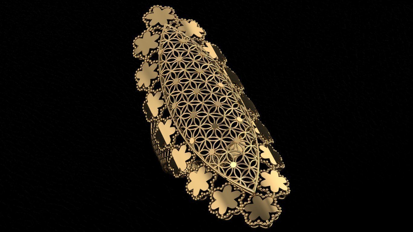 50 Wire Mesh 3dm model pack 3D print model_41