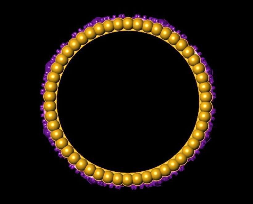 Engagement Band Ring  3D print model_8