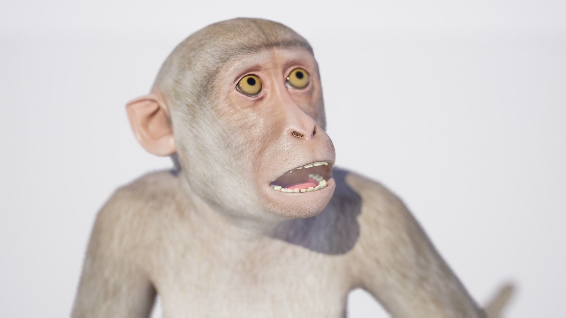 Monkey 3D model_1