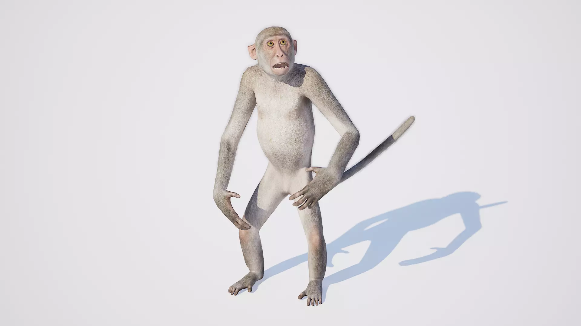 Monkey 3D model_0