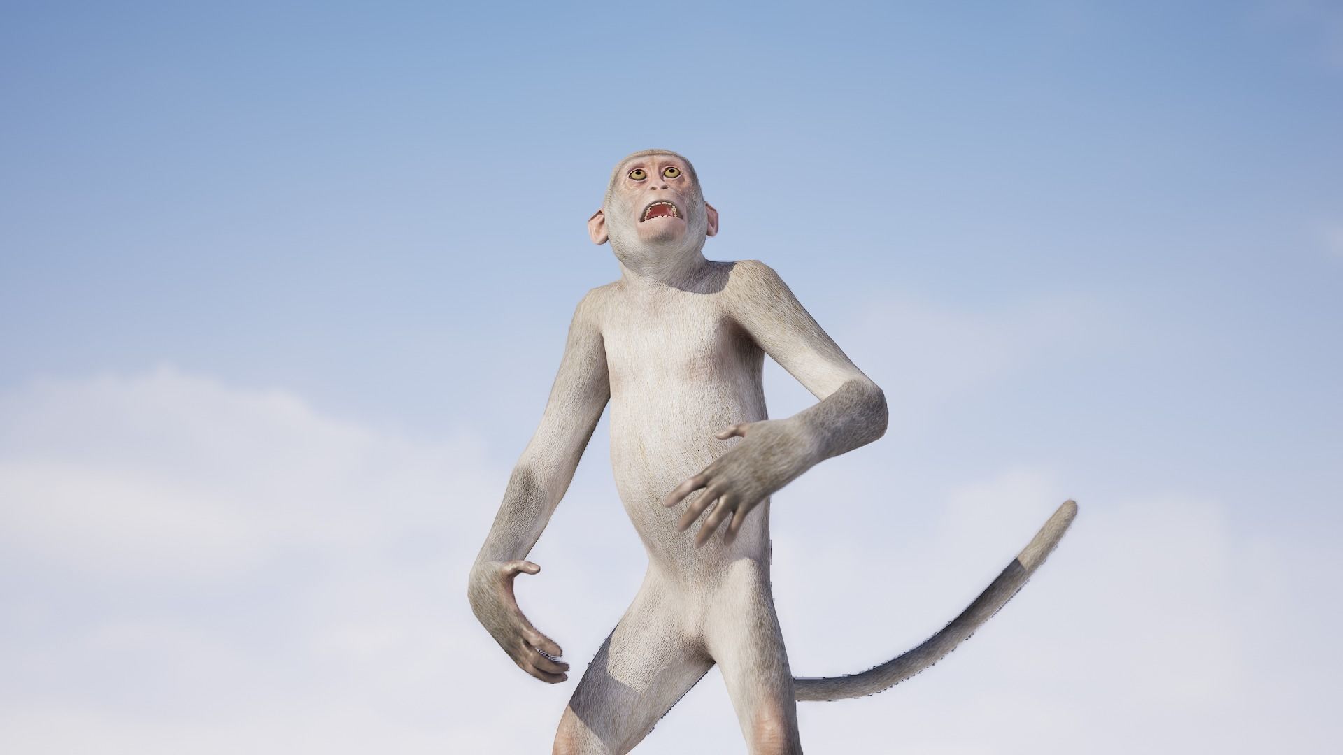 Monkey 3D model_2