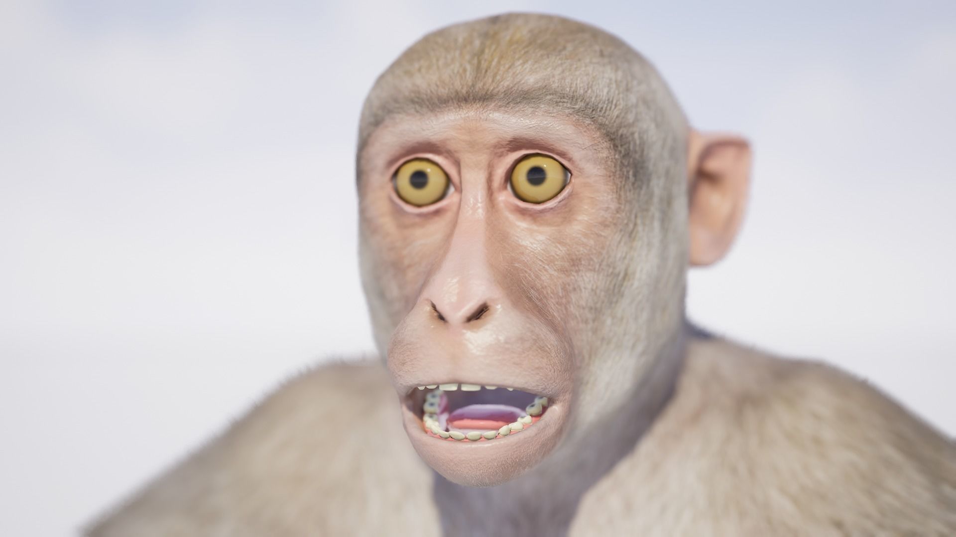 Monkey 3D model_5