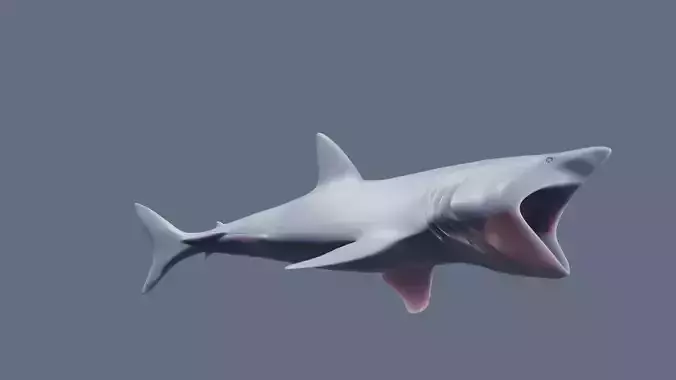 Basking Shark Figurine