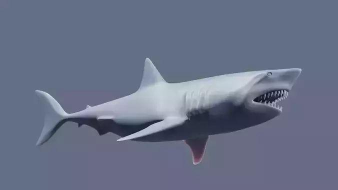 Great White Figurine 3D print model