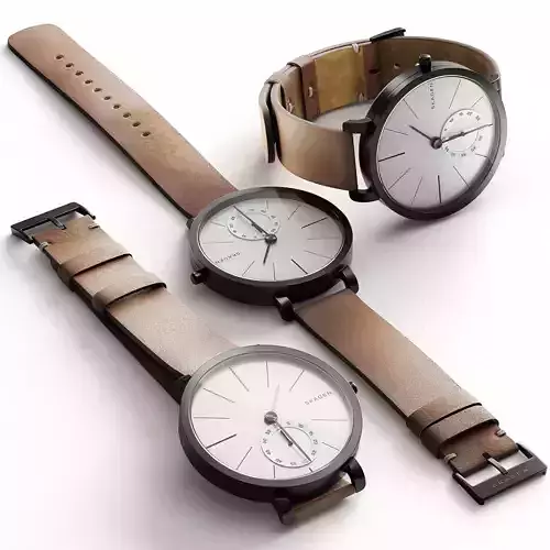 Watch Skagen SKW6216