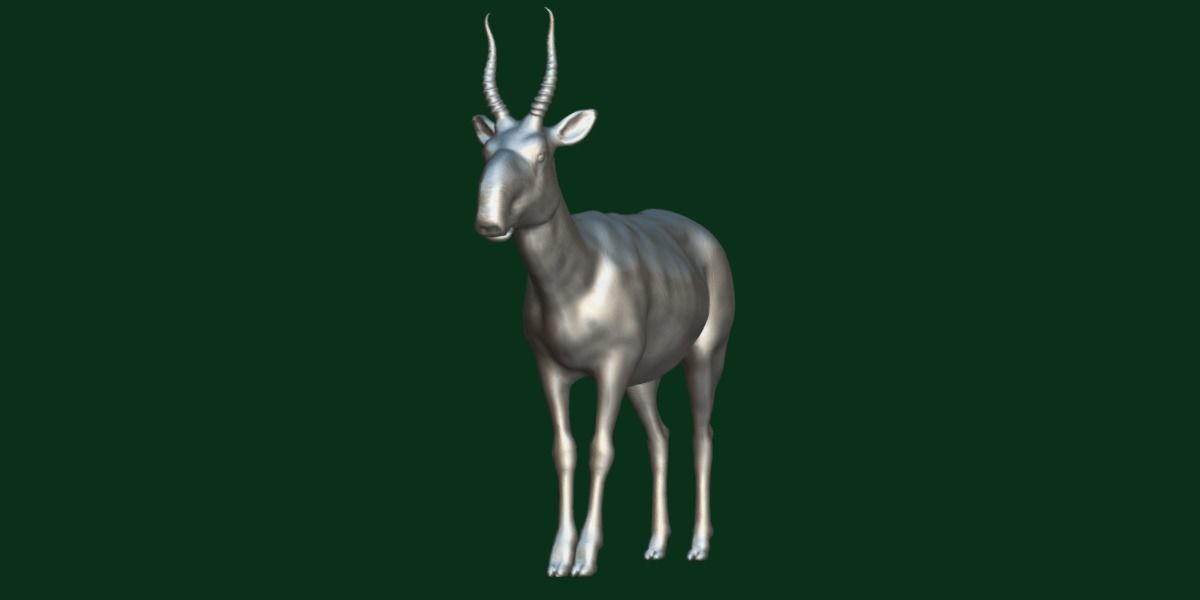Saiga Antelope Mammal 3D model_8