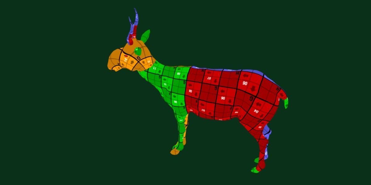 Saiga Antelope Mammal 3D model_11