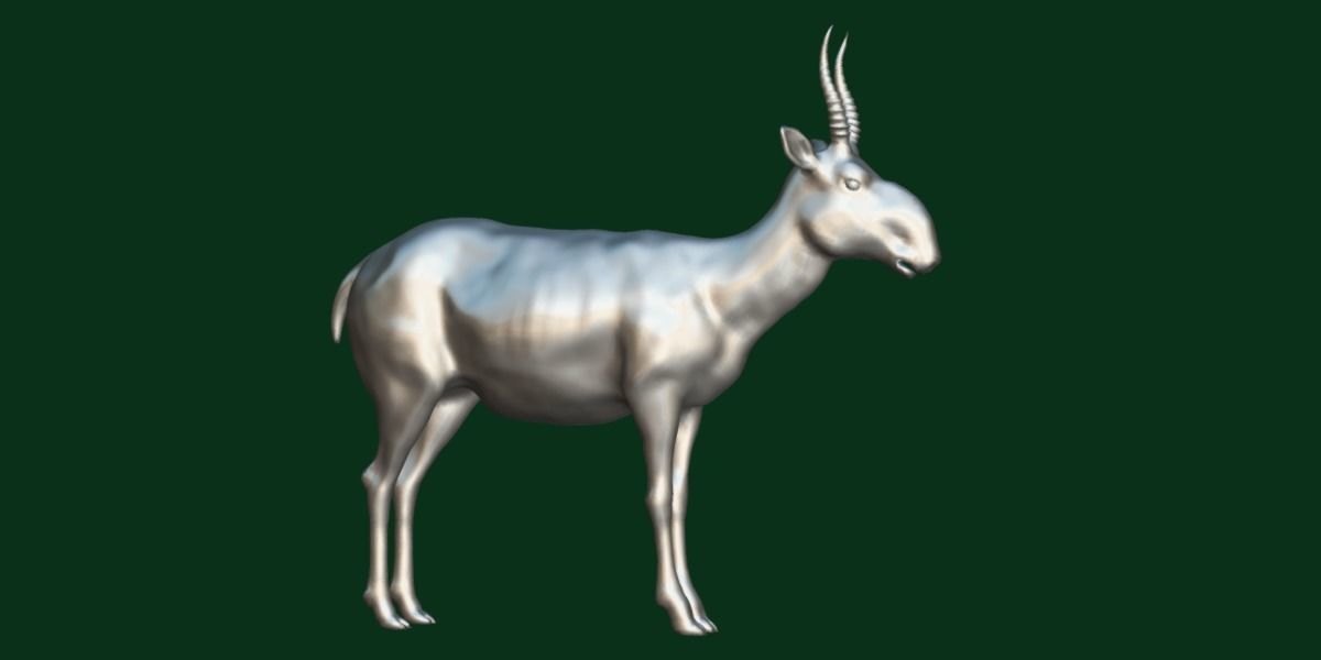 Saiga Antelope Mammal 3D model_7