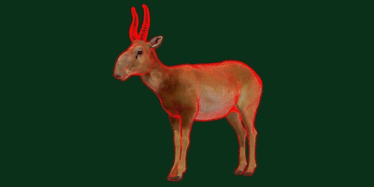 Saiga Antelope Mammal 3D model_10