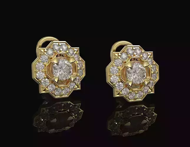 Fancy earrings with gems