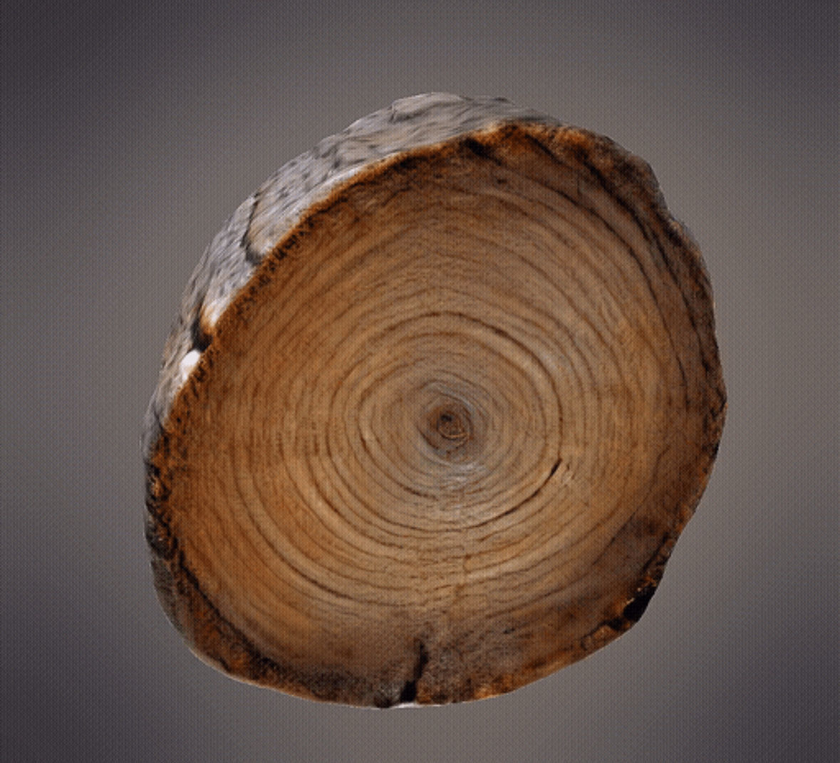 Log 3d Model 3D print model_2