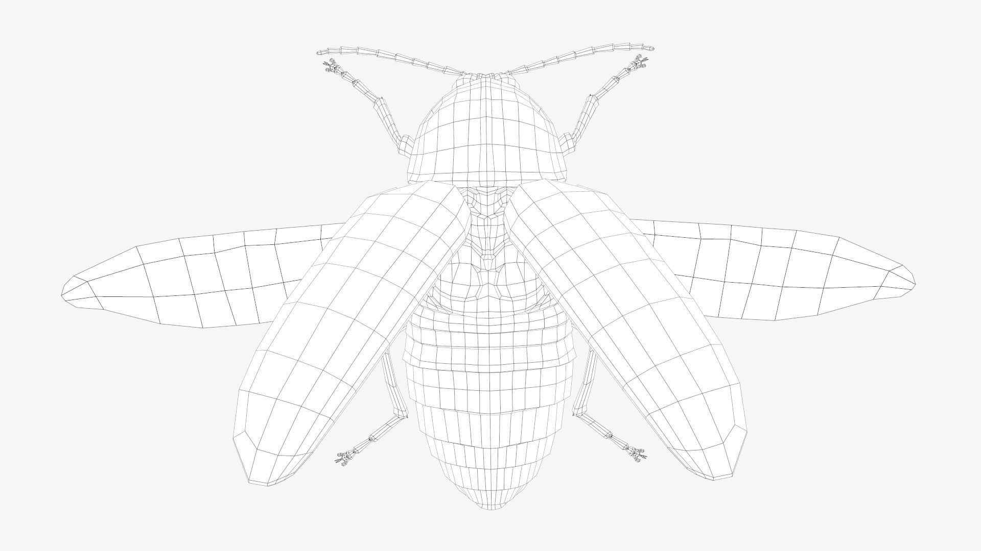 Firefly Low-poly 3D model_9