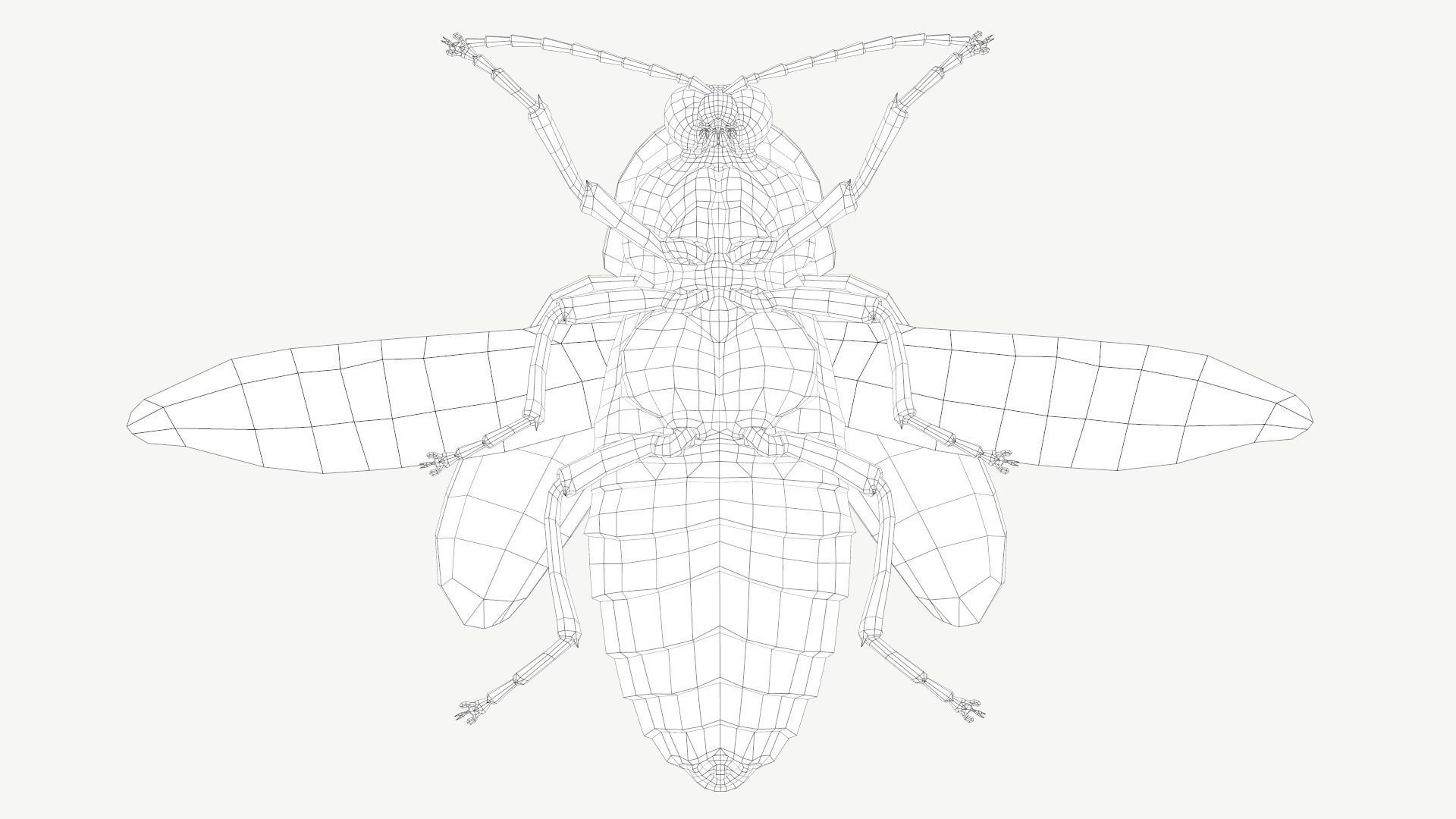Firefly Low-poly 3D model_13