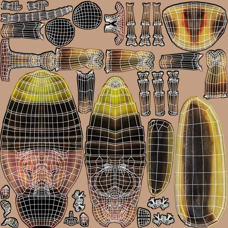 Firefly Low-poly 3D model_14