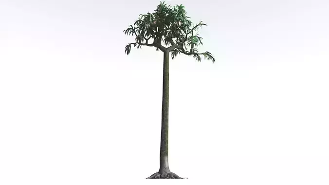 EVERYPlant Lepidodendron Scale Tree LowPoly 1 --12 Models-- Low-poly 3D model
