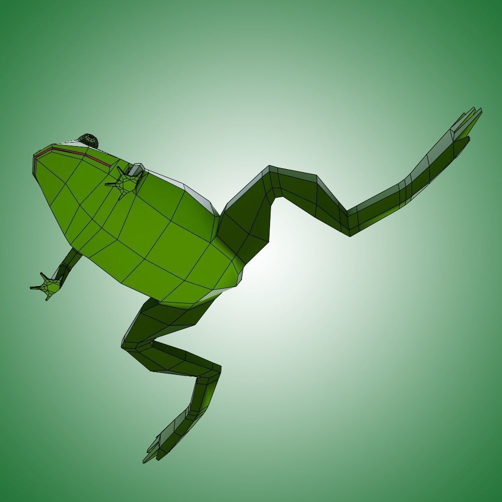 Frog Low Poly Low-poly 3D model_6