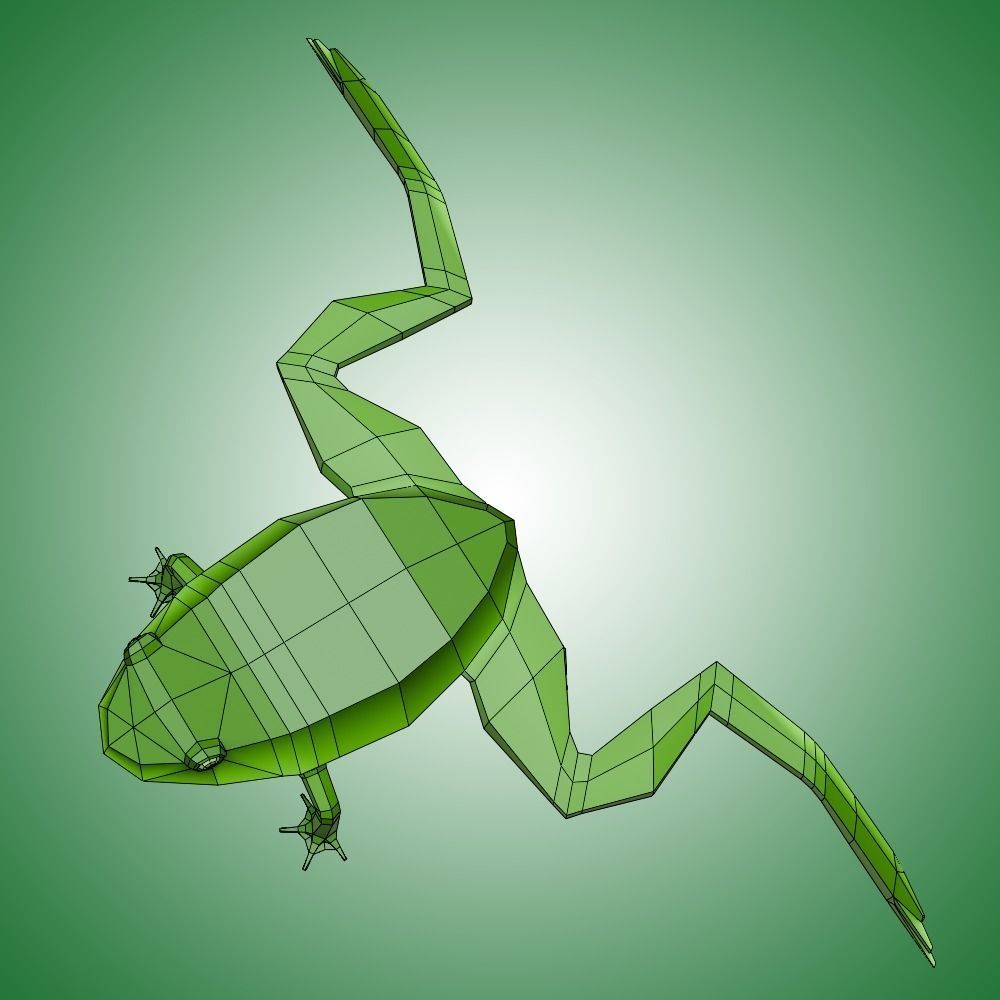 Frog Low Poly Low-poly 3D model_4