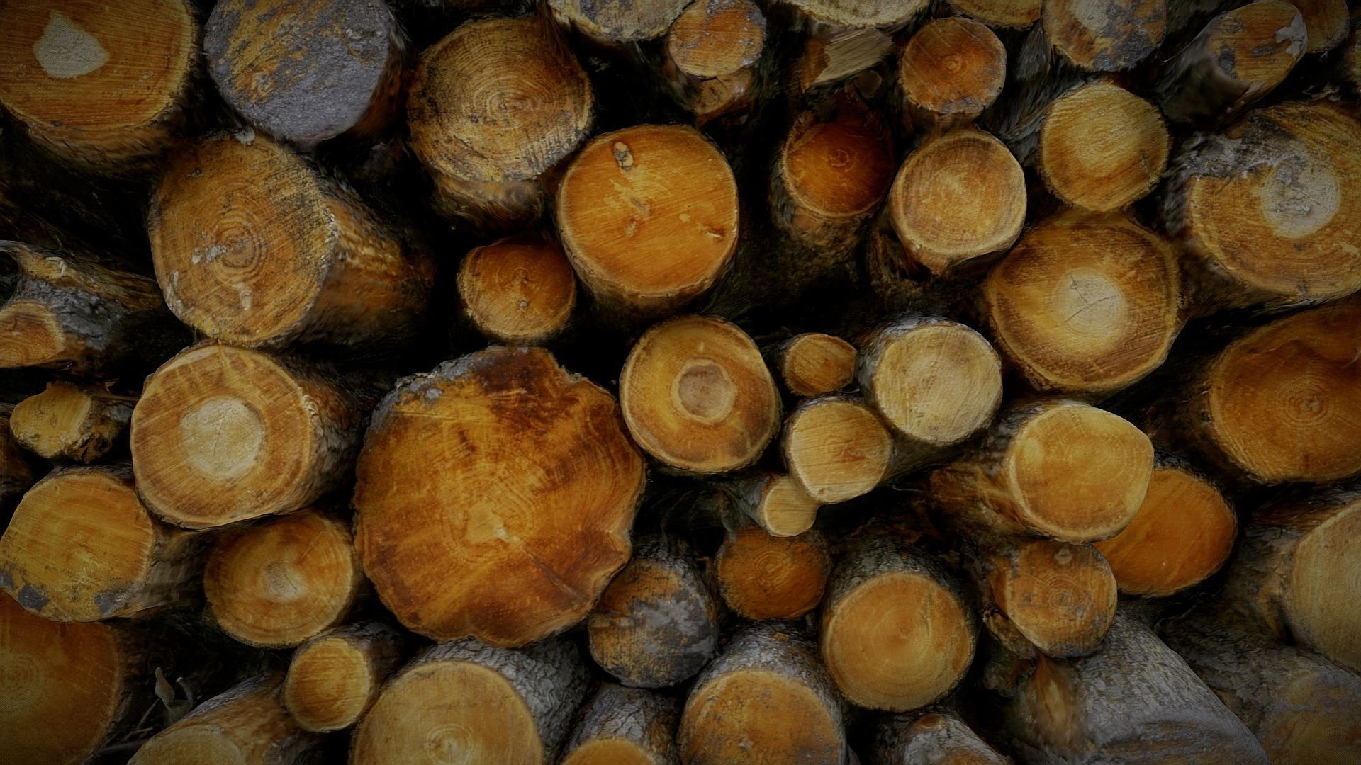 Pile of logs heap of wood in the forest 01 3D model_7