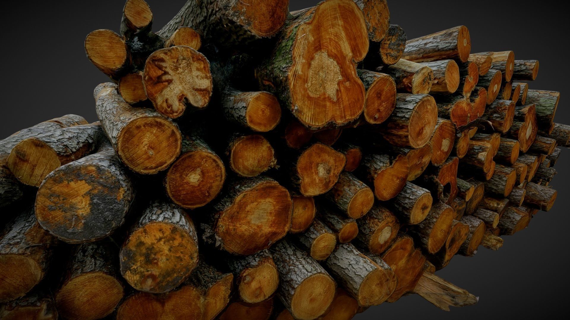 Pile of logs heap of wood in the forest 01 3D model_6