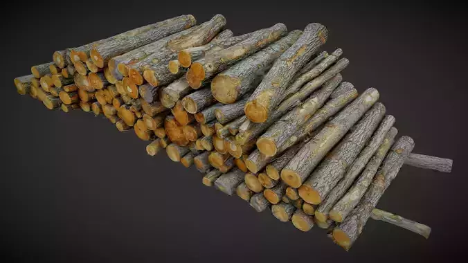 Pile of logs heap of wood in the forest 01 3D model