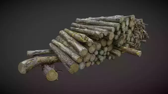 Pile of logs heap of wood in the forest 02 3D model