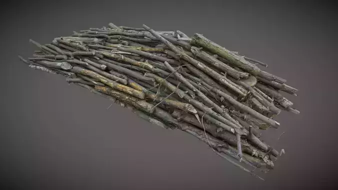 Pile of cut branches in the forest