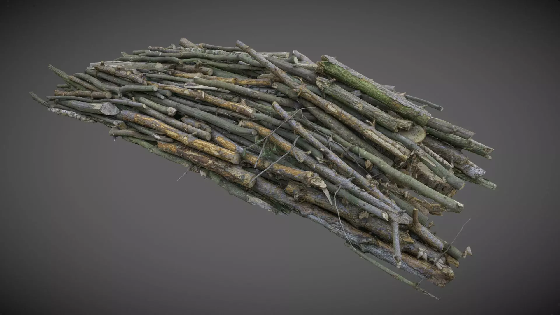 Pile of cut branches in the forest 3D model