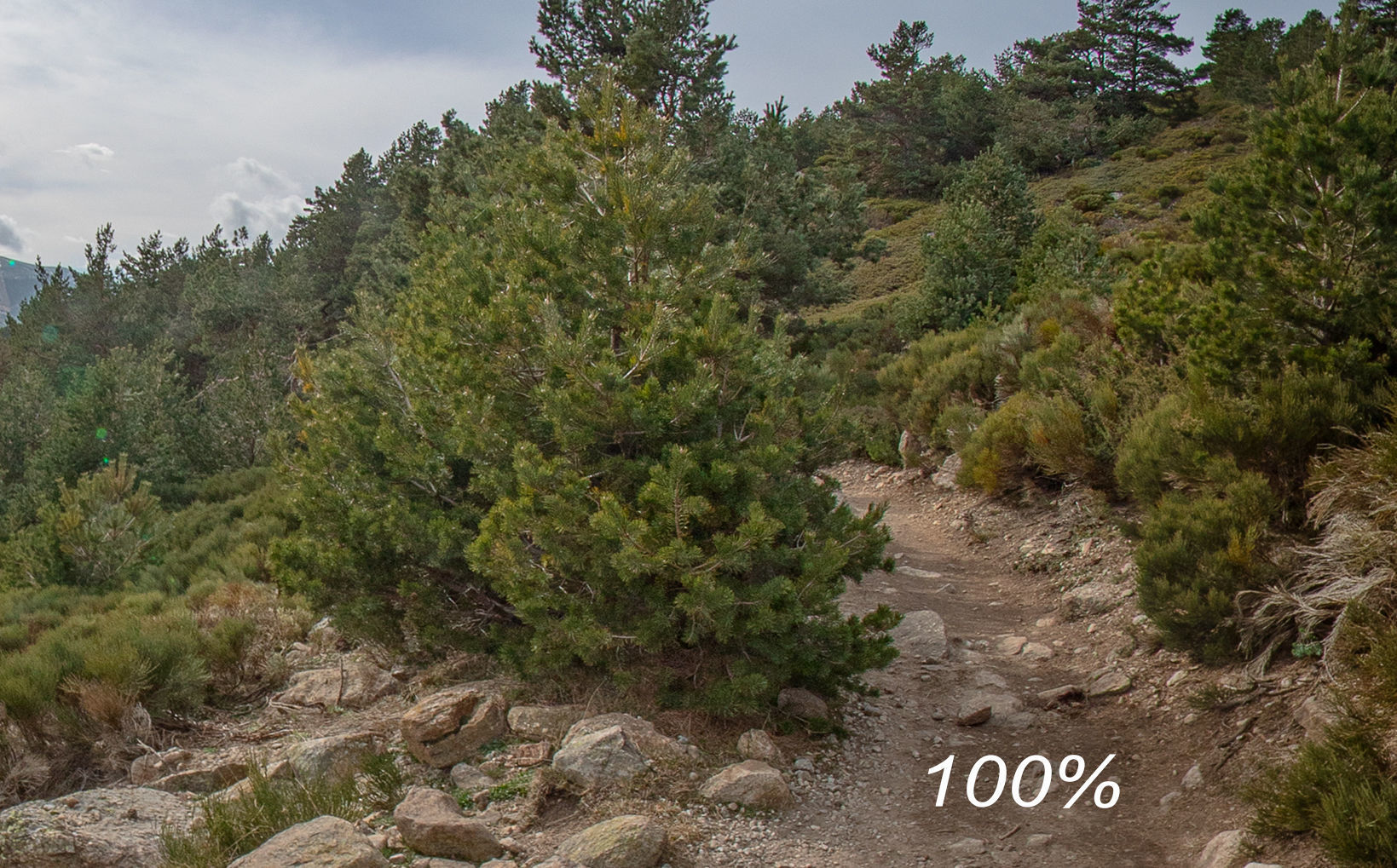 HDR 076 Low-poly 3D model_2