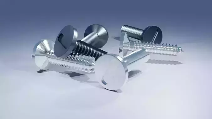 Stainless Steel Screw